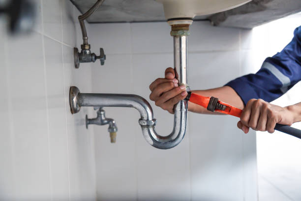 Best Plumbing Services Near Me  in Bartow, FL